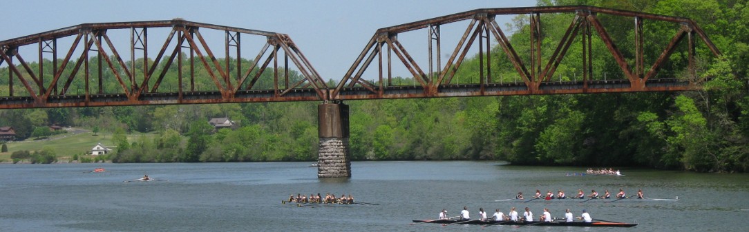 Ellen Smith for Oak Ridge Rotating Header Image