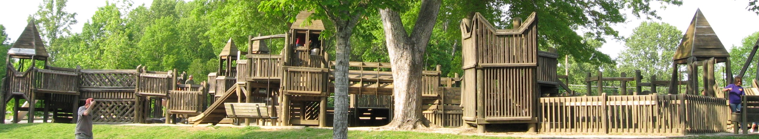 Ellen Smith for Oak Ridge Rotating Header Image
